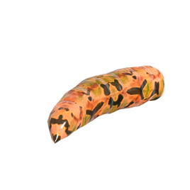 Common Larva