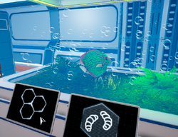 A newly bred fish in an incubator.