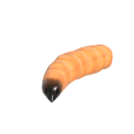 Uncommon Larva