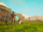 Grasslands
