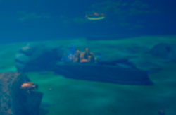 Some fish found in the wild.