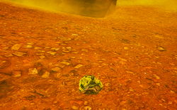 A lump of Sulfur found on the ground.