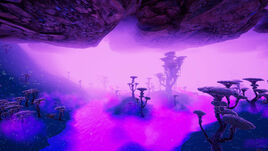 Mushroom River