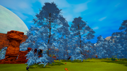 Prunea tree.