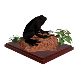 Frog Display