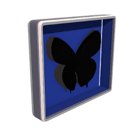 Butterfly Display Box
