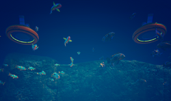 Two fish farms side by each breeding two different types of fish.