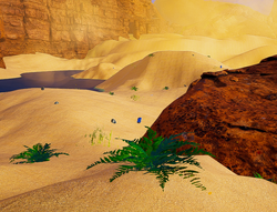 Ferns growing after reaching the Flora stage. The desert dons some green.