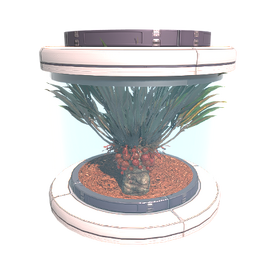 Tree Seed Aemora