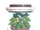 Tree Seed Pleom