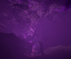 The tree in the breach looks magic during a meteor shower.