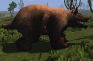 Firebear 1