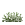 Sc_0065_grass.png