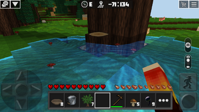 Mushrooms 1.png
