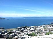 View-of-Seattle-Harbor-from-Space-Needle