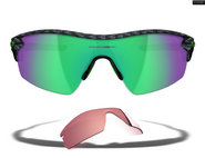 Sunglasses Eckle