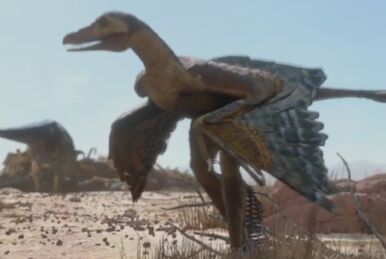 microraptor planet dinosaur