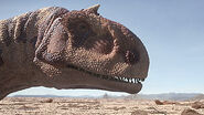 A Majungasaurus walking through the desert in search of food.