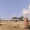 Jurassic Desert