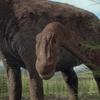 Magyarosaurus