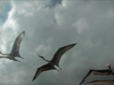 Chaoyangopterid pterosaur