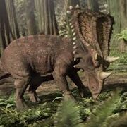Chasmosaurus.jpg