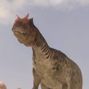 AllosaurusPortrait