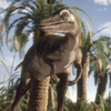 Saurornithoides