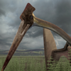 Hatzegopteryx
