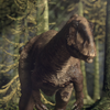 Sinraptor