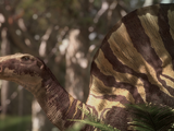 Ouranosaurus