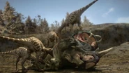 Four Troodons scavenging a Centrosaurus carcass.