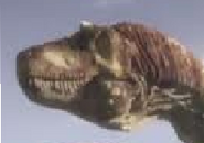 Alectrosaurus.png (19 KB)