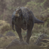 Rugops
