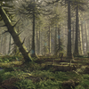 Jurassic Forest
