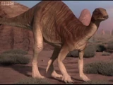 Camptosaurus