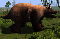 Firebear