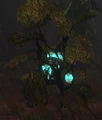 Lantern Tree