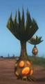 Speckled Palm