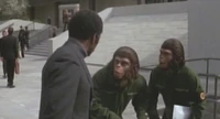 Aldo and Caesar in 'Conquest of the Planet of the Apes'