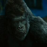Buck Planet Of The Apes Wiki Fandom