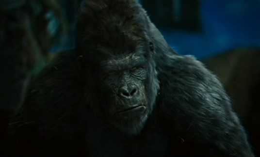 rise of the apes gorilla