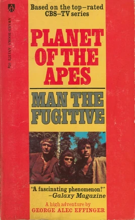 Man The Fugitive
