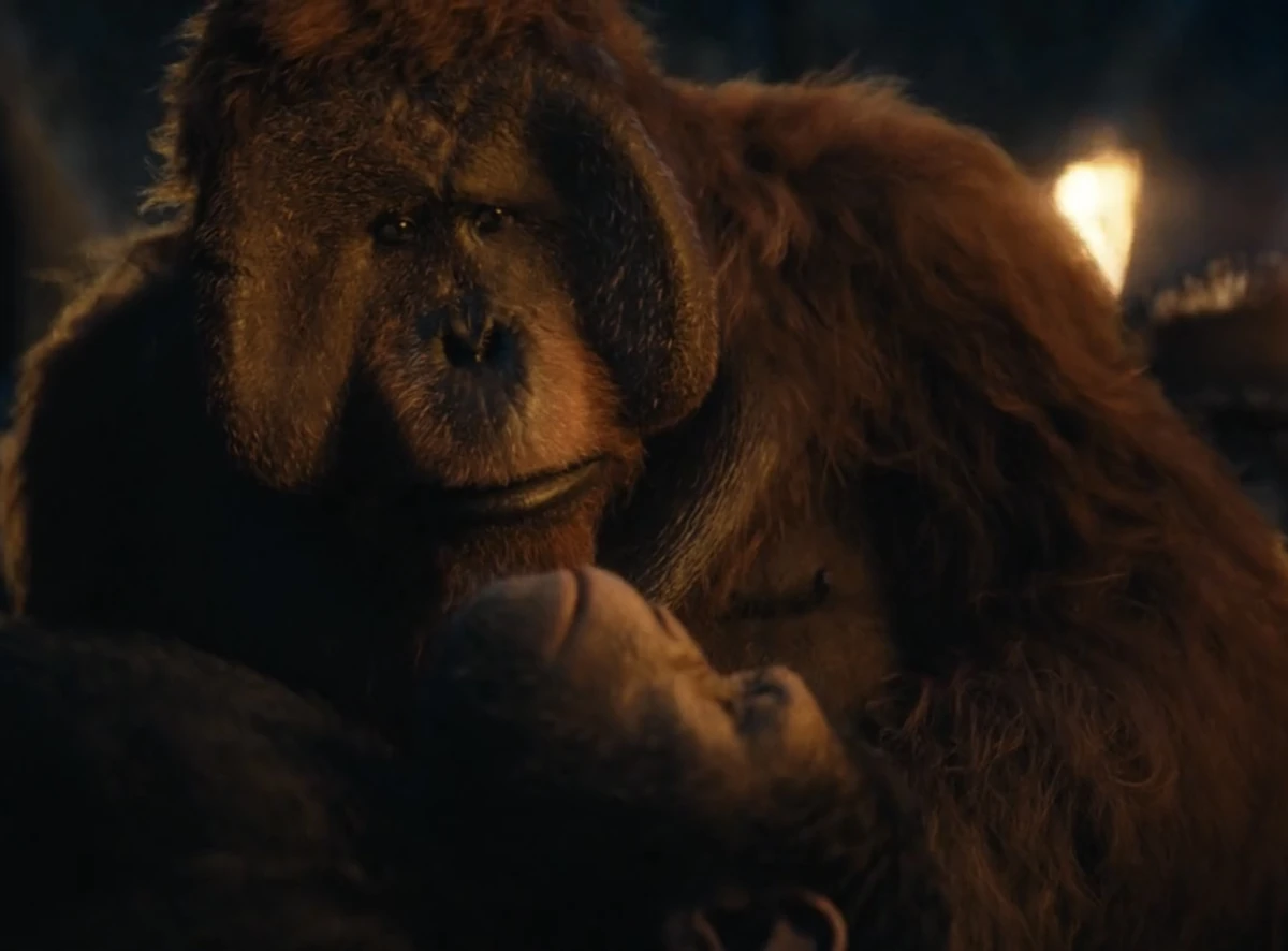 Maurice | Planet of the Apes Wiki | Fandom, image size:1200x886