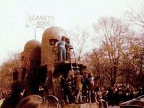 The band members take part in the Macy's Parade