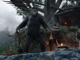 Ape King
