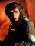 Dr. Cornelius, an evolved chimpanzee scientist who studied humans in the original film continuity