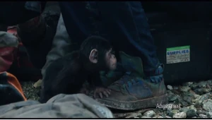 Cornelius, Caesar's infant son.