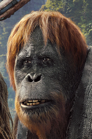 Raka Planet of the Apes Wiki Fandom