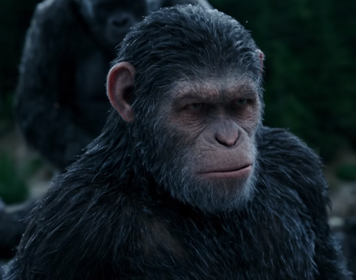 Caesar (CE) | Planet of the Apes Wiki | Fandom